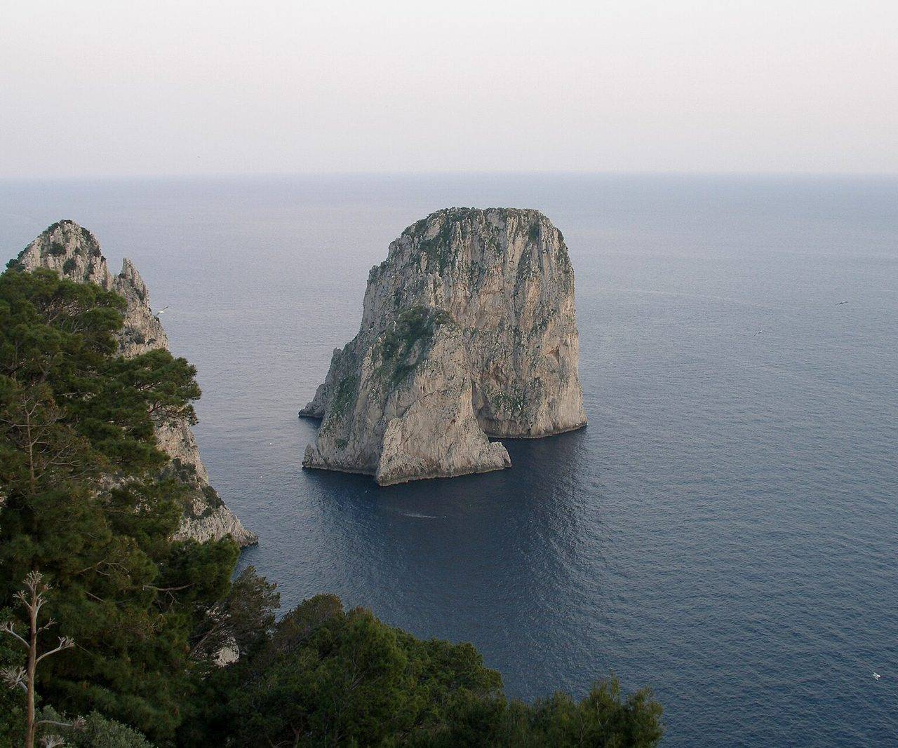 Capri's Culinary Secrets: A Guide to Private Chef Experiences
